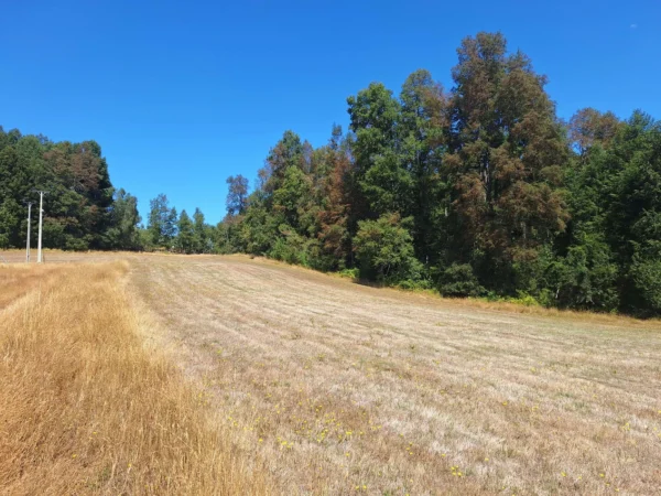 parque nativo sector huaqui $30.000.000 opción de crédito directo