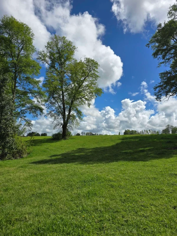 rinconada a solo 15 min de villarrica