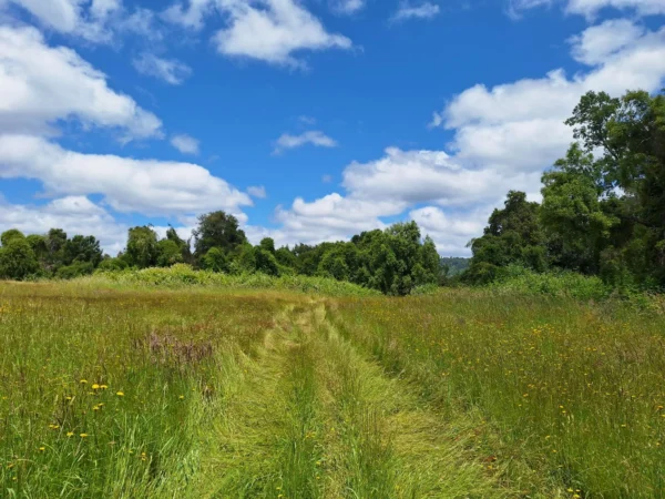 fundo santa clara $24.990.000 Últimas parcelas