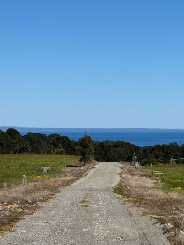 amplia casa en parcela sector la moto villarrica (copia)