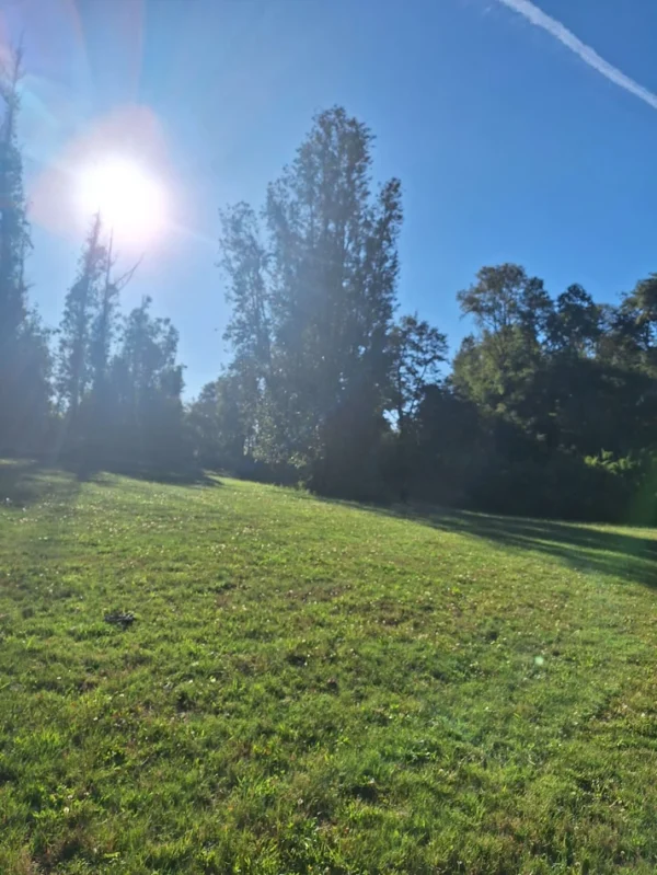 rinconada a solo 15 min de villarrica