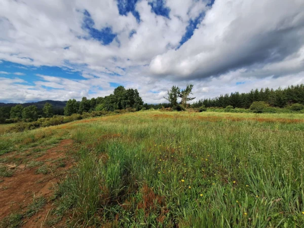 refugio huellanto sexta faja desde $19.990.000