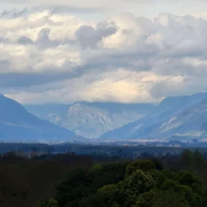 parcelas ruta cunco melipeuco