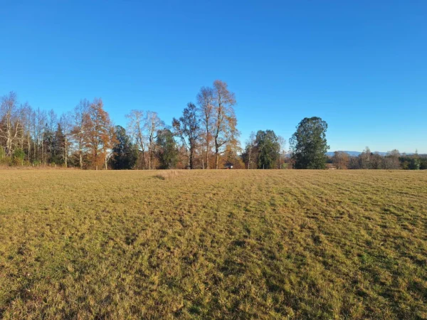 séptima faja hermosas parcelas a 20 min de villarrica desde $28.000.000