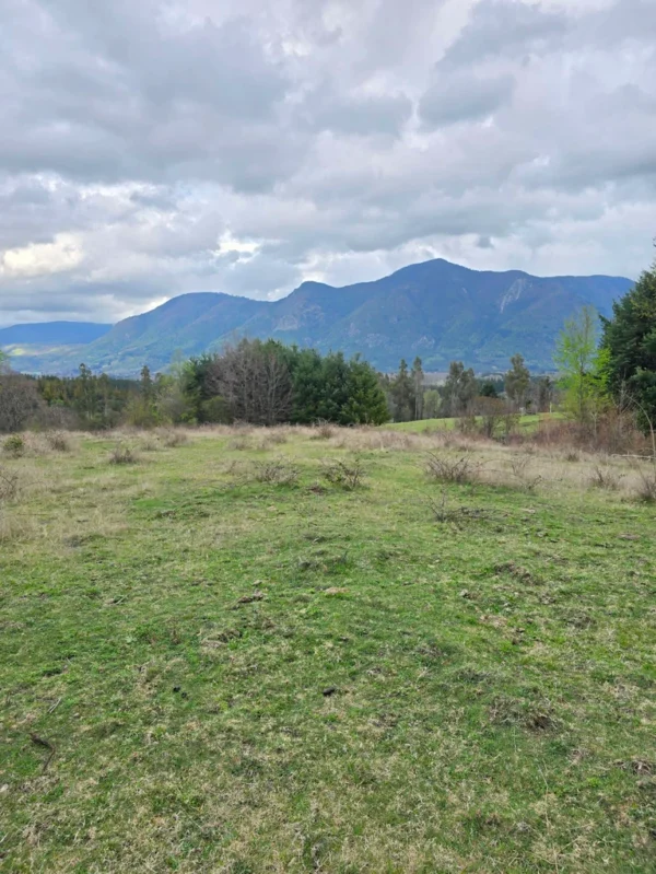 parcelas ruta cunco melipeuco