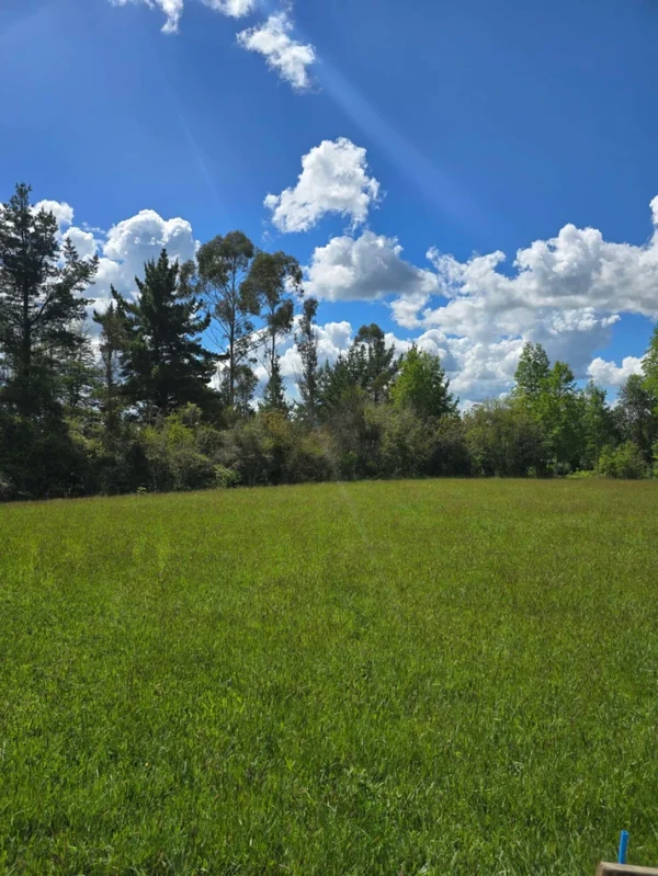 campo san nicolás Últimas parcelas disponibles