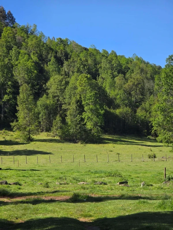 la comarca a solo 10 km de villarrica desde $39.990.000