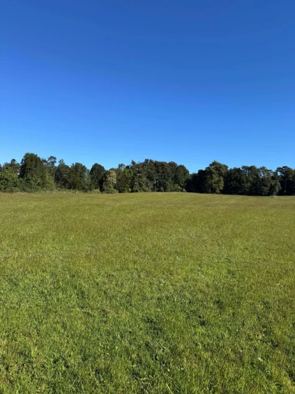 los molinos puerto octay