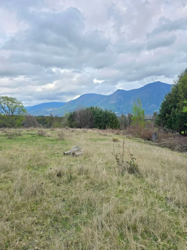 parcelas ruta cunco melipeuco