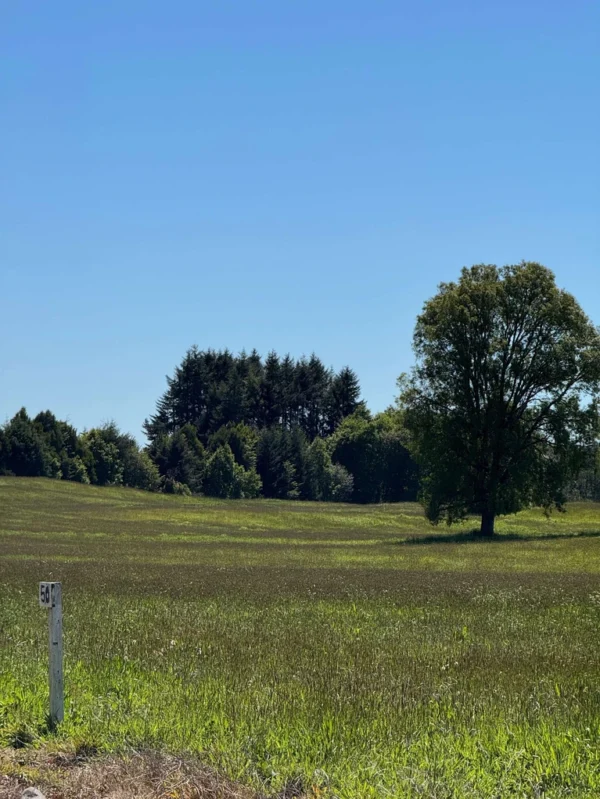 los molinos puerto octay