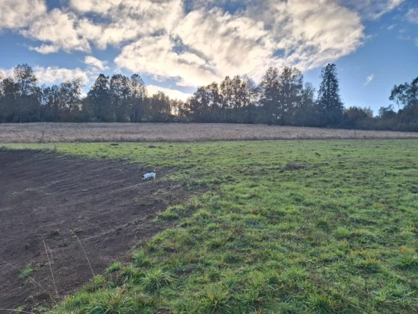 praderas de villarrica etapa ii desde $25.000.000