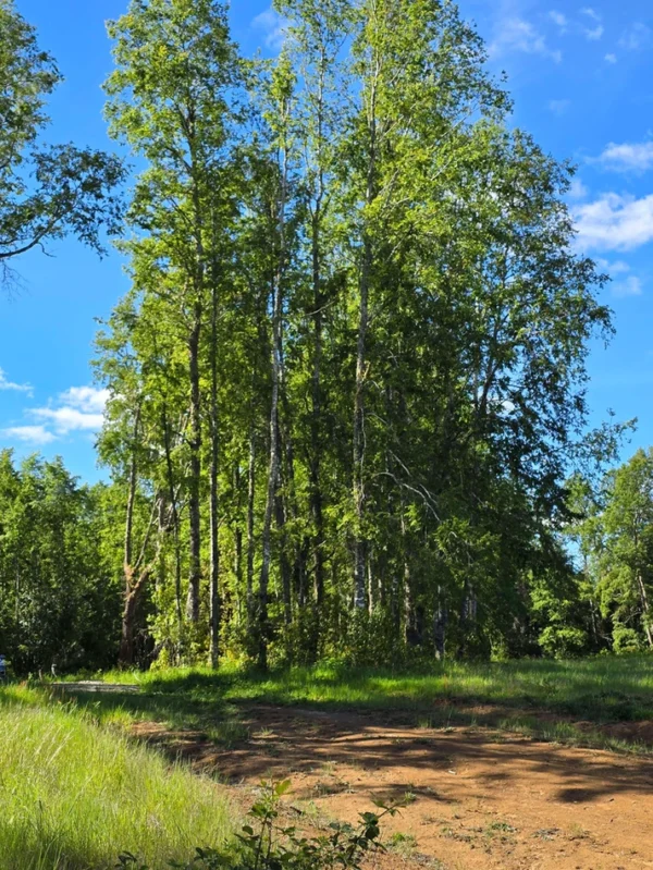 praderas de villarrica iii y iv desde $24.990.000