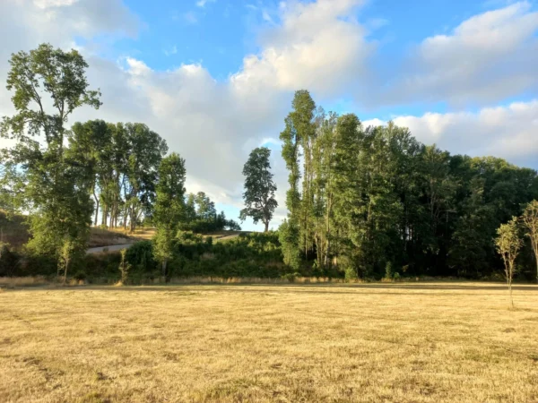 río escondido ruta villarrica pucón desde 2774 uf