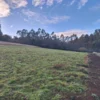 praderas de villarrica etapa ii desde $25.000.000