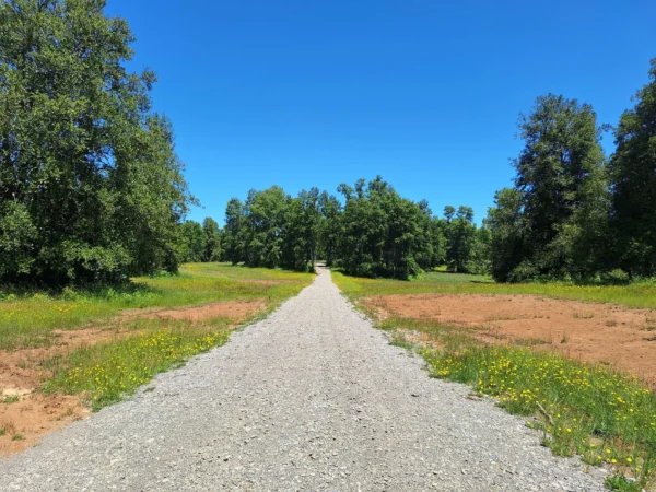 praderas de villarrica iii y iv desde $24.990.000