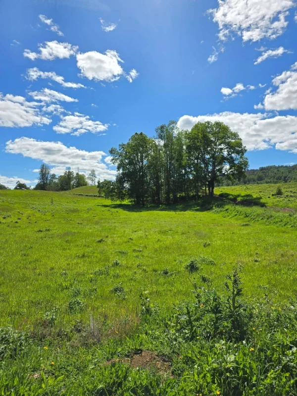 praderas de villarrica iii y iv desde $24.990.000