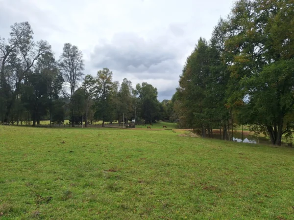 hermosas parcelas por ruta s 91 río, luz y agua. crédito directo