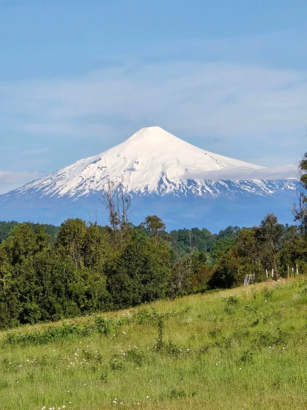 praderas de villarrica iii y iv desde $24.990.000