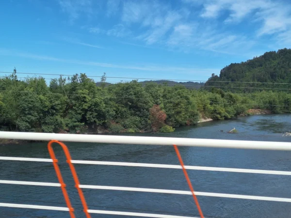 parcela ruta villarrica freire $45.000.000