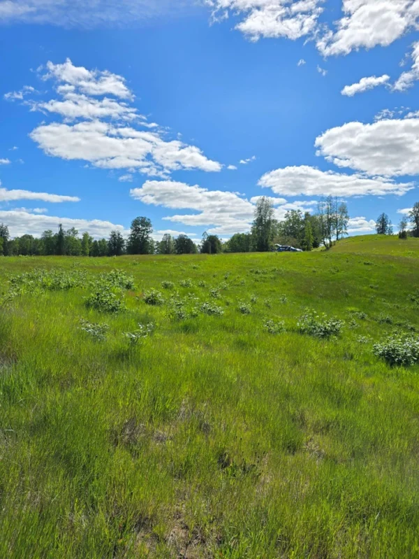 praderas de villarrica iii y iv desde $24.990.000