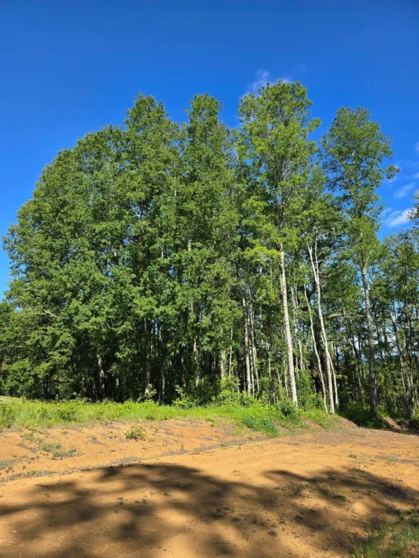 praderas de villarrica iii y iv desde $24.990.000