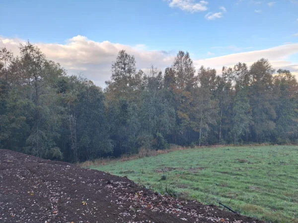 praderas de villarrica etapa ii desde $25.000.000