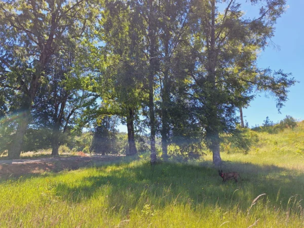 praderas de villarrica iii y iv desde $24.990.000