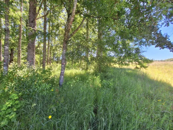 praderas de villarrica iii y iv desde $24.990.000