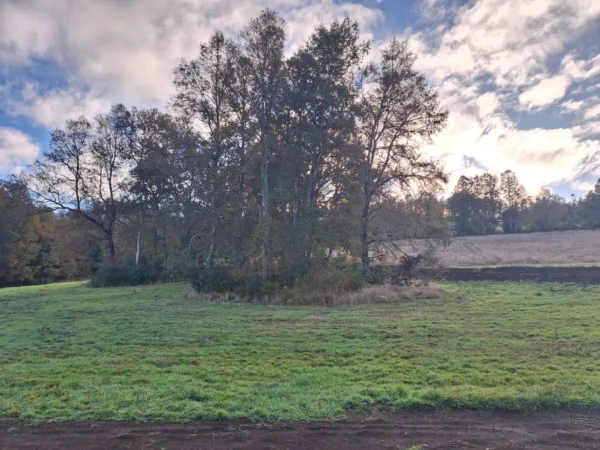 praderas de villarrica etapa ii desde $25.000.000