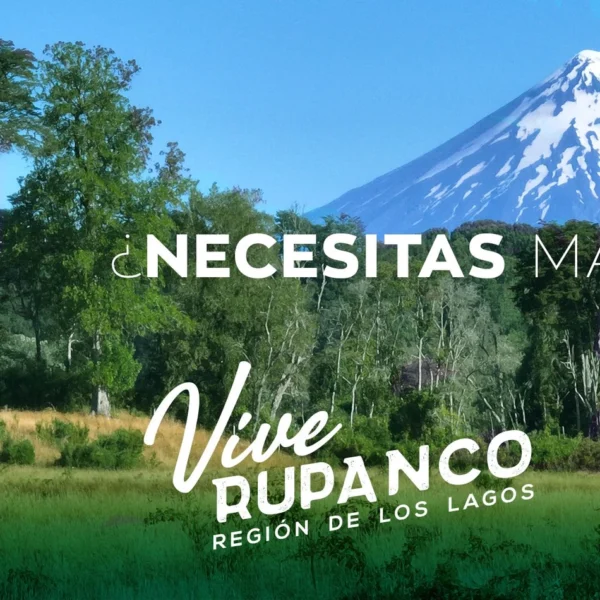 vive rupanco