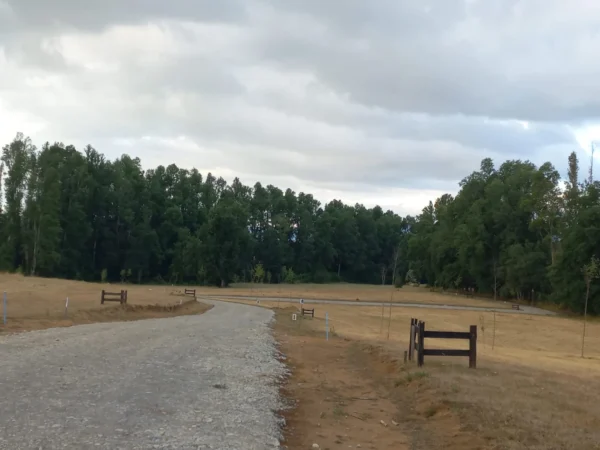 río escondido ruta villarrica pucón desde 2774 uf