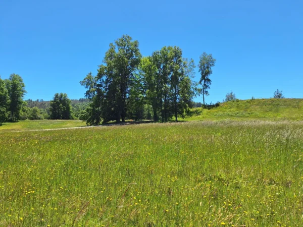praderas de villarrica iii y iv desde $24.990.000