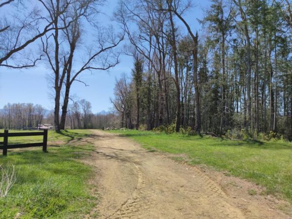 río escondido ruta villarrica pucón desde 2774 uf