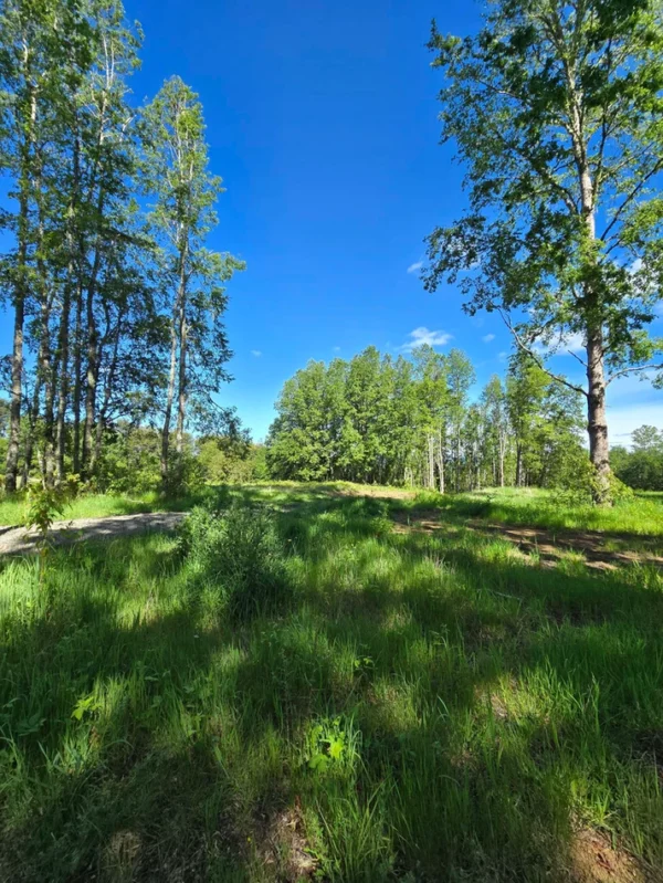 praderas de villarrica iii y iv desde $24.990.000