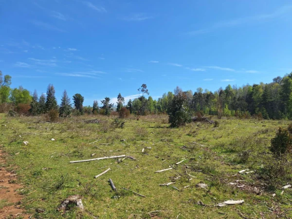 hermosas parcelas por ruta s 91 río, luz y agua. crédito directo