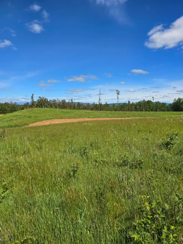 praderas de villarrica iii y iv desde $24.990.000