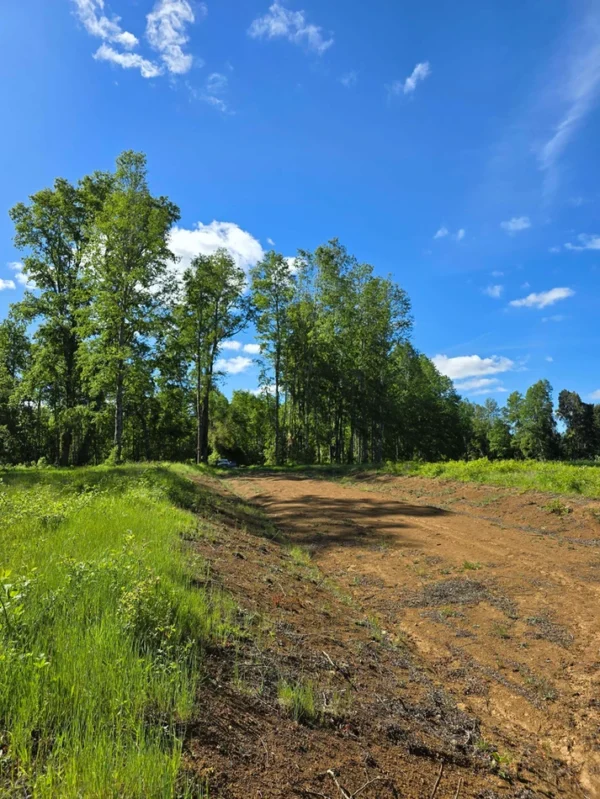 praderas de villarrica iii y iv desde $24.990.000