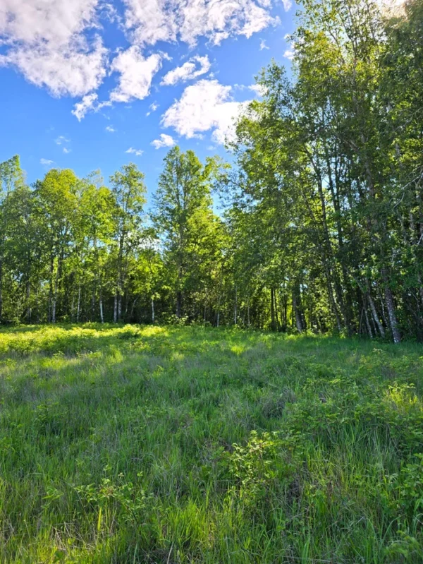 praderas de villarrica iii y iv desde $24.990.000