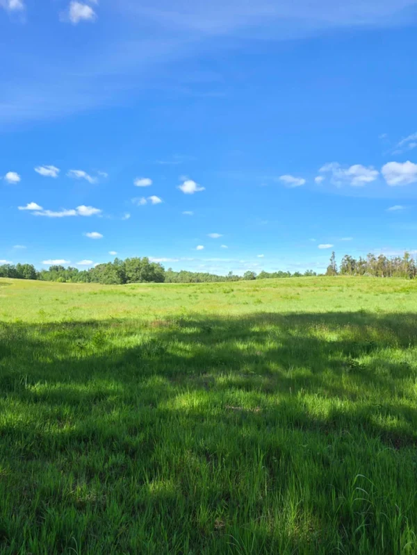 praderas de villarrica iii y iv desde $24.990.000