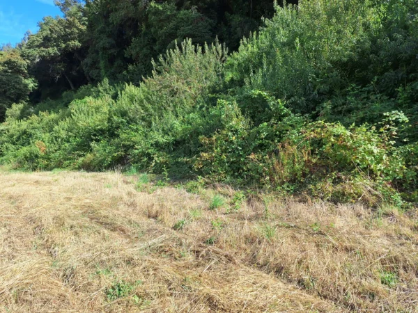 parcela ruta villarrica freire $45.000.000