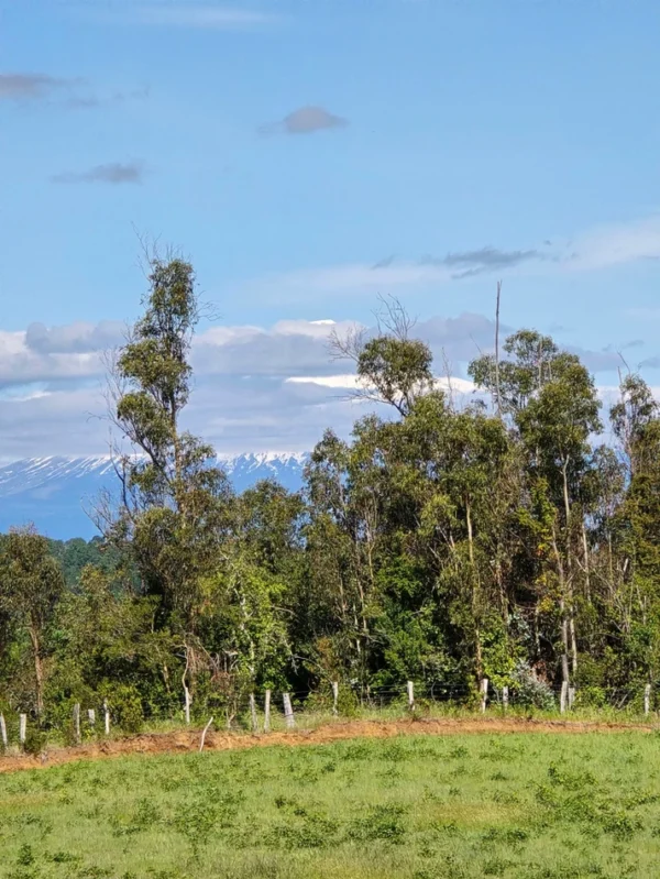 praderas de villarrica iii y iv desde $24.990.000