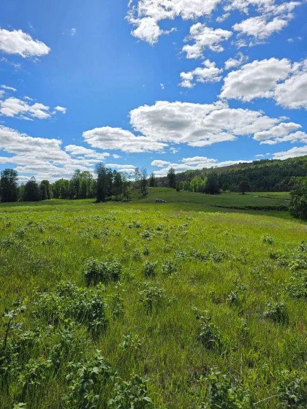 praderas de villarrica iii y iv desde $24.990.000