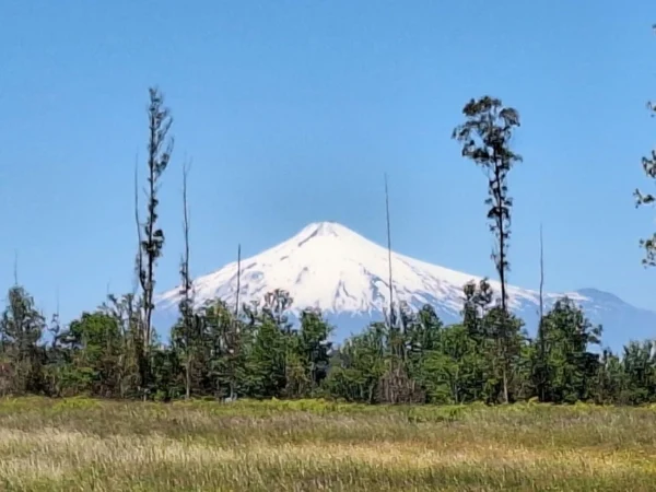 praderas de villarrica iii y iv desde $24.990.000