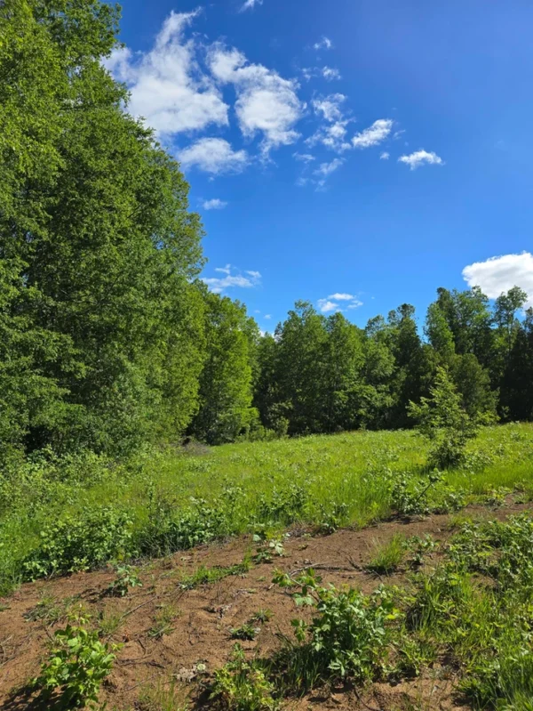 praderas de villarrica iii y iv desde $24.990.000