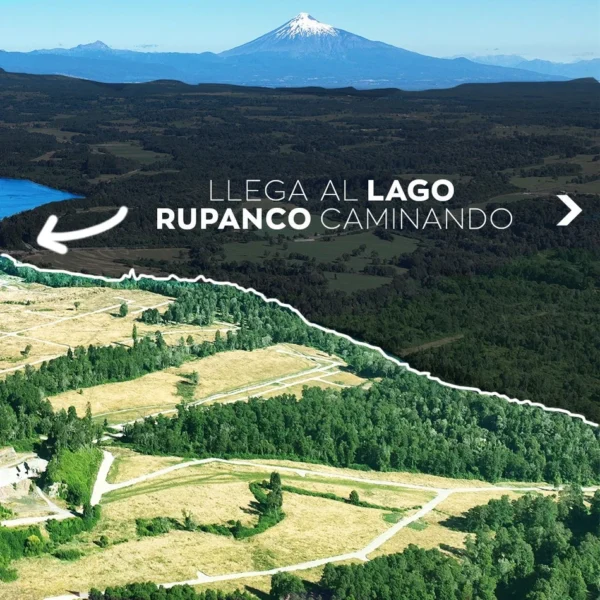 vive rupanco