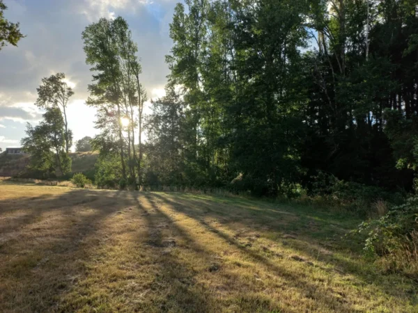 río escondido ruta villarrica pucón desde 2774 uf