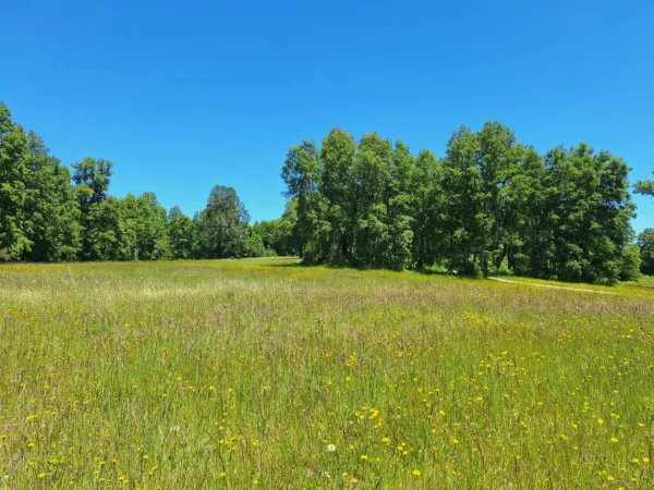 praderas de villarrica iii y iv desde $24.990.000