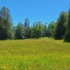 praderas de villarrica iii y iv desde $24.990.000