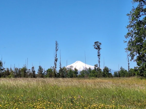 praderas de villarrica iii y iv desde $24.990.000