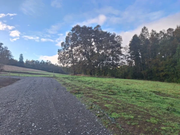 praderas de villarrica etapa ii desde $25.000.000